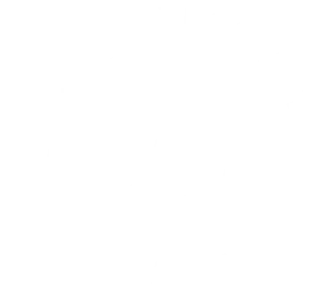 TV Bürgstadt Handball